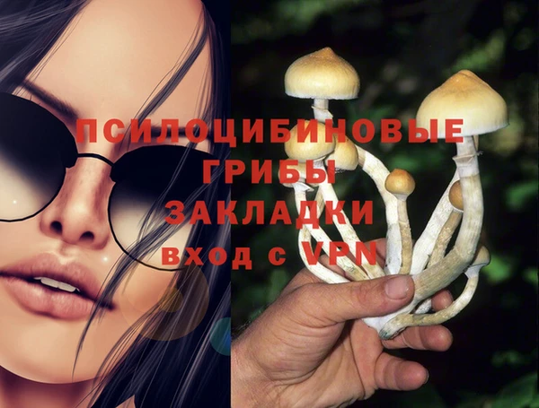 молекула духа Алексин