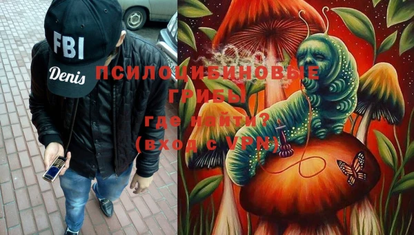 молекула духа Алексин