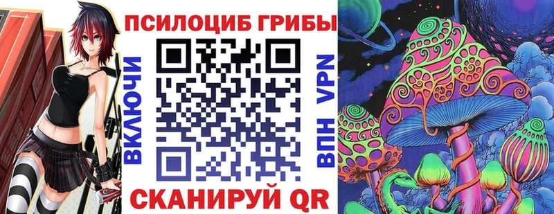 Галлюциногенные грибы Psilocybe  цена наркотик  Томск 